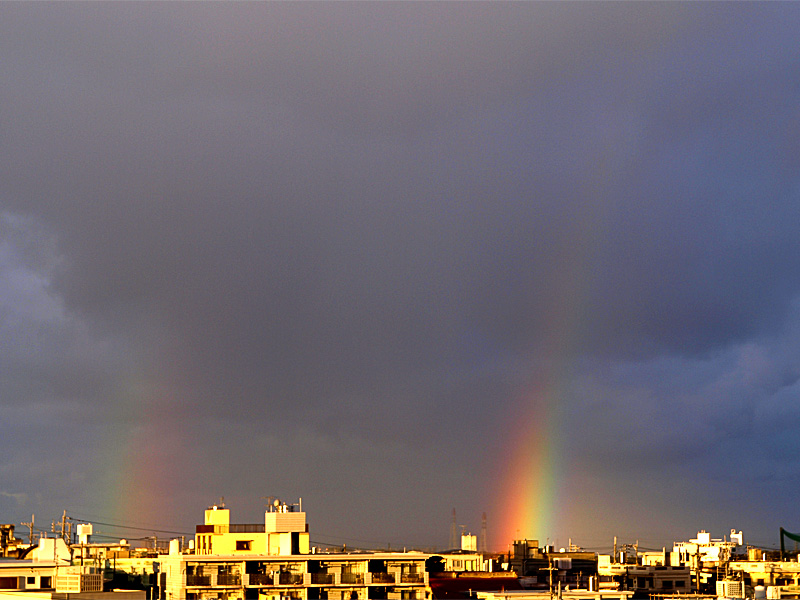 090102_06_bow_l_doble.jpg