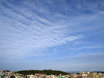 090104_02.jpg