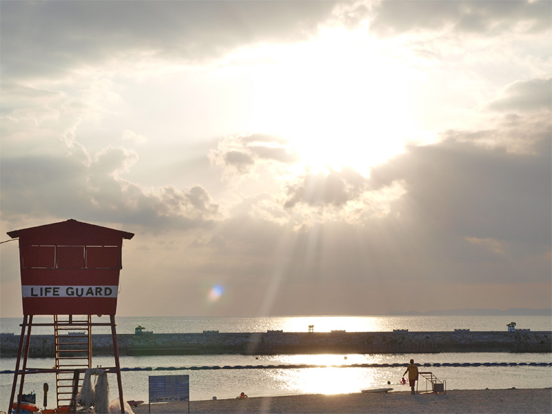 24lifeguard_g_bibi080906.jpg