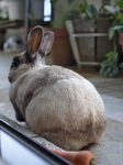 back_kun080525.jpg