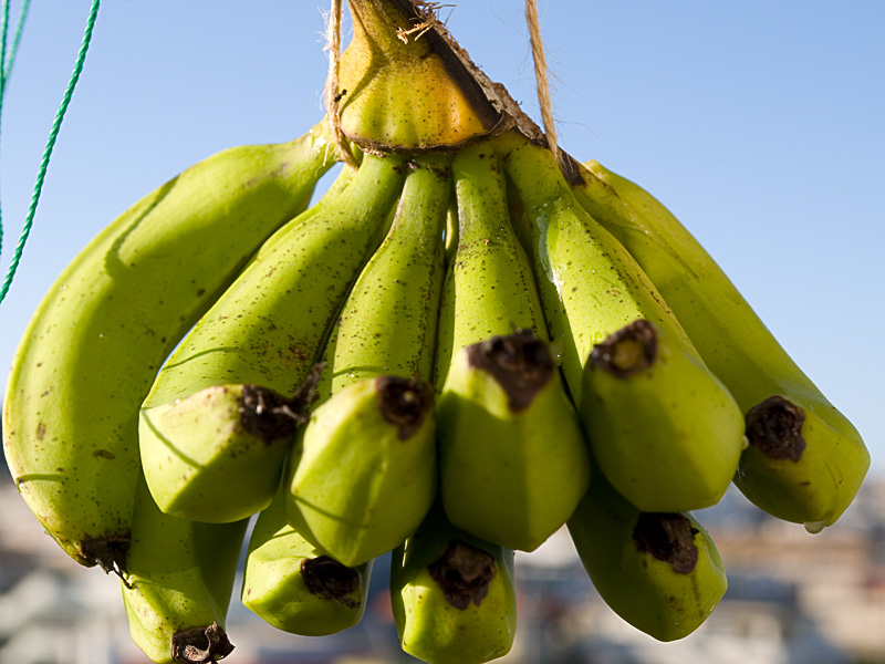 banana070913.jpg
