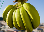 banana_2_070913.jpg