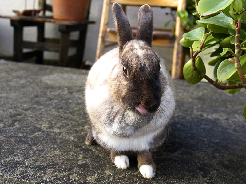 bero_080318_kun.jpg
