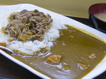 dontei_butacurry2.jpg