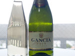 gancia_syanmerry.jpg