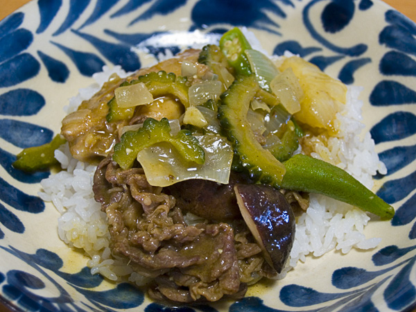 goya_curry1.jpg