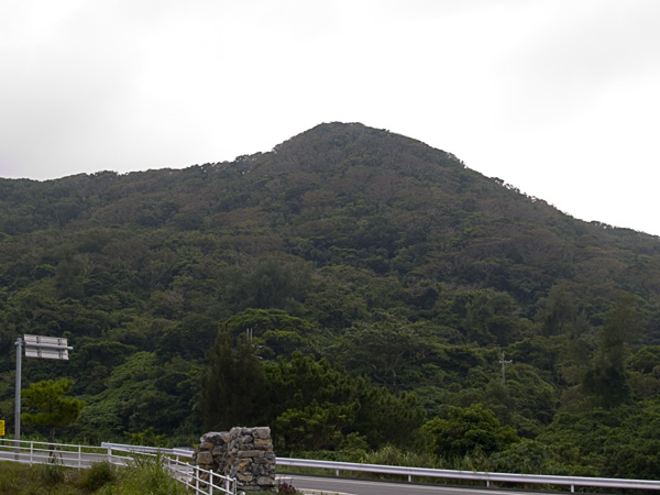 mt.jpg