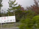 nagaredama00.jpg