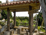 oshiro1_060825.jpg