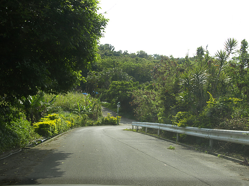 road_kitanaka.jpg