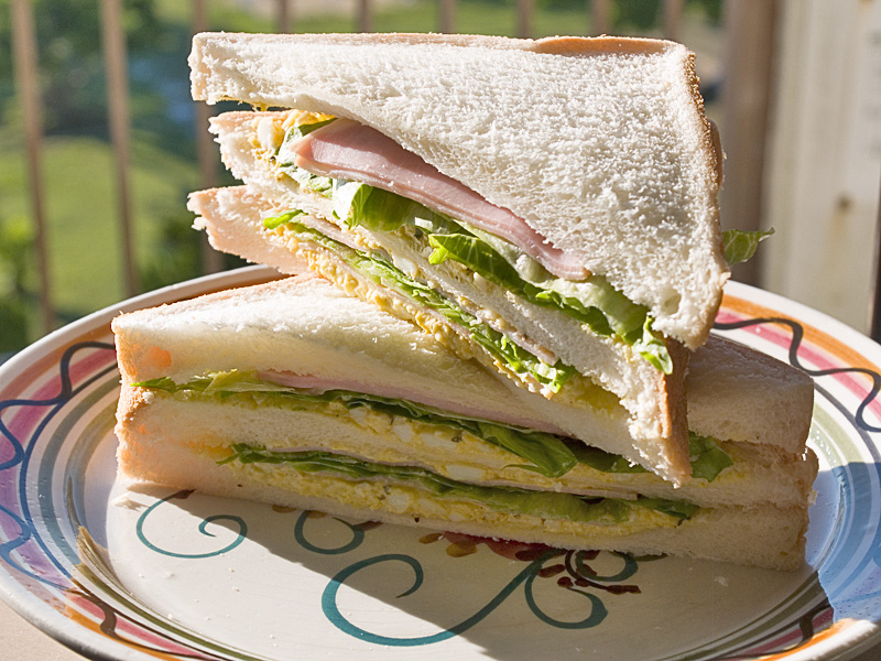 sandwich070905.jpg