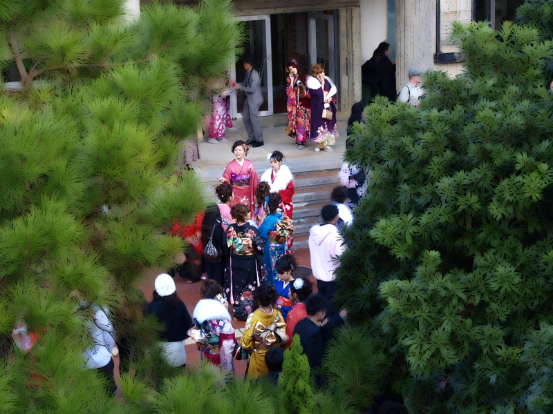 seijin09_01_boke.jpg