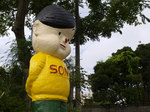 sony_boya_nakijin.jpg